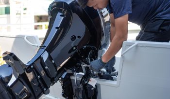 AdobeStock_346544210-0cbd4d8a