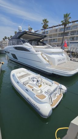 Williams TurboJet 325